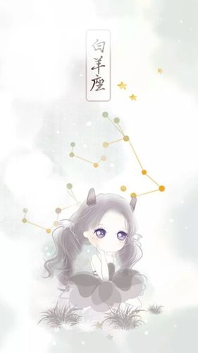 十二星座小微