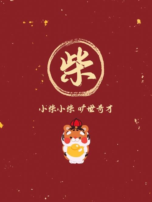 姓柴有什么好名字