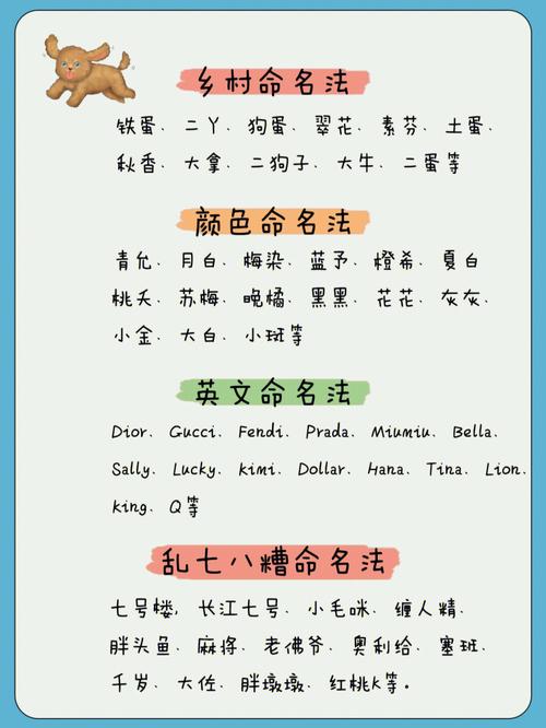 独特的三个字的宠物名字简单好记