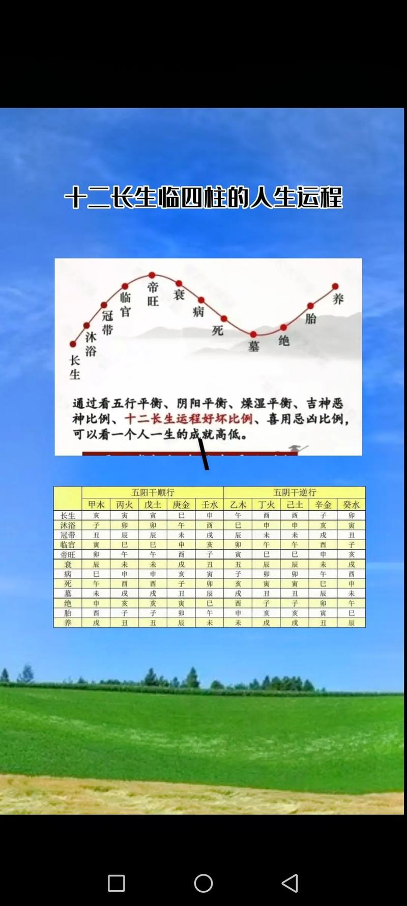 水蛇命人生运程如何