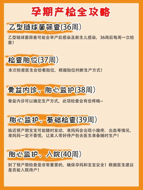 想生虎宝宝几月备孕
