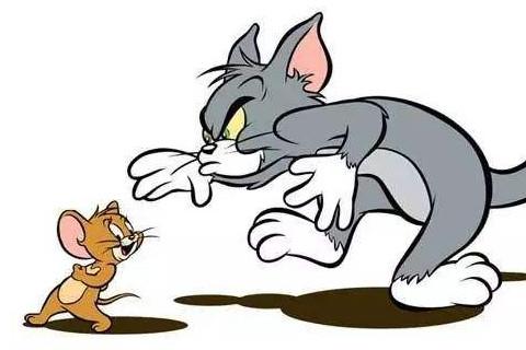 梦见猫打老鼠 周公解梦之梦到猫打老鼠