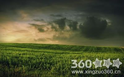 属龙心底最脆弱的地方