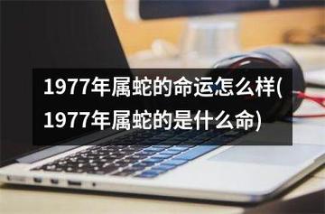 1977年属蛇人的命运如何