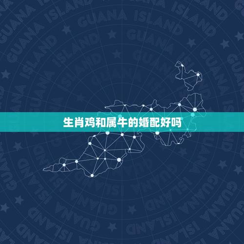 生肖牛配对生肖鸡好不好