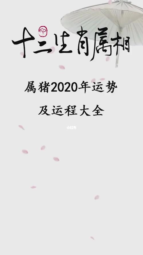属猪2020年运势运程及每月运势运程解析