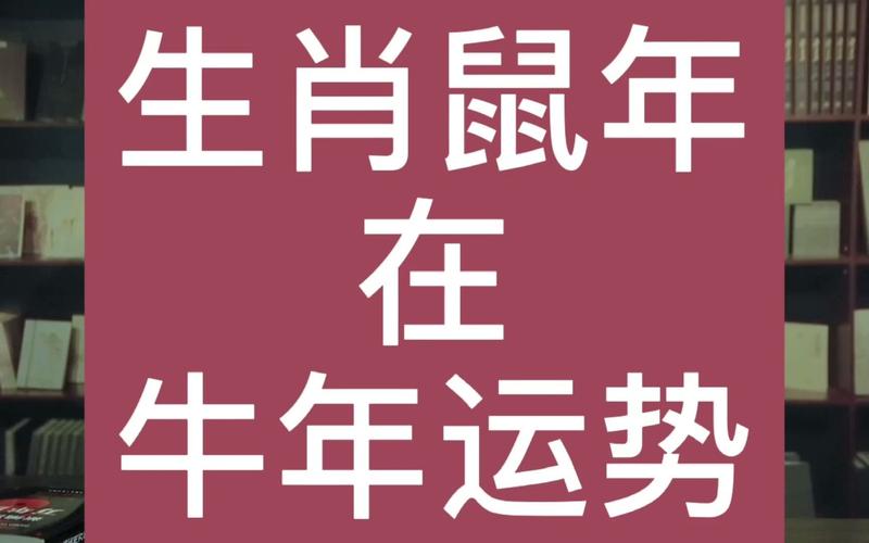 鼠逢牛年运气好吗