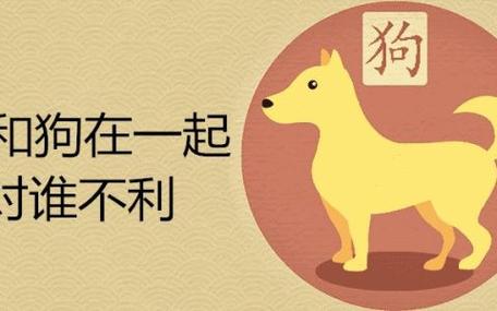 狗男配对十二生肖女:狗+龙