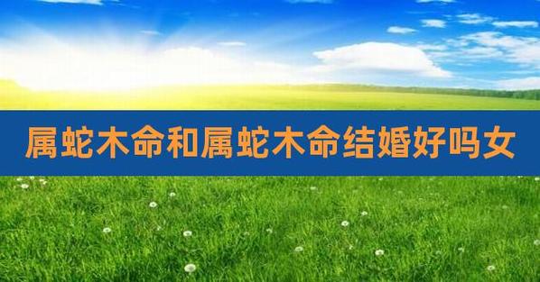 属蛇最后结婚的人为何不是最爱的人