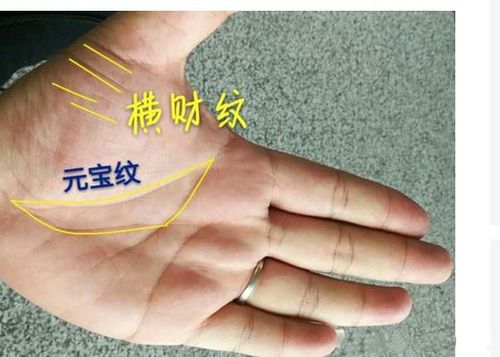 命中有财库的手相