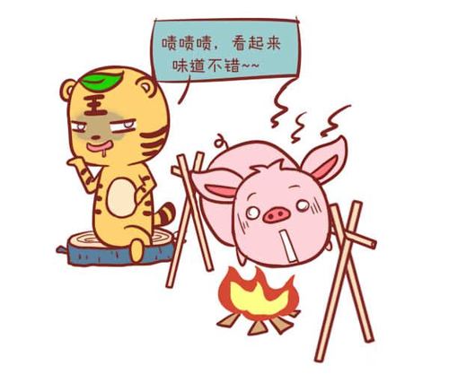 为达目的不择手段生肖