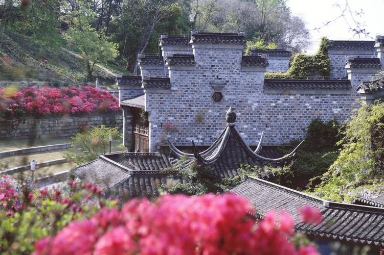 梦见杜鹃花