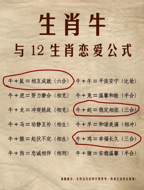 肖兔男和肖牛女的爱情配对定数