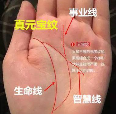 佛眼纹和学堂纹以及智慧纹的解析