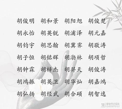 男宝宝起名大全姓胡