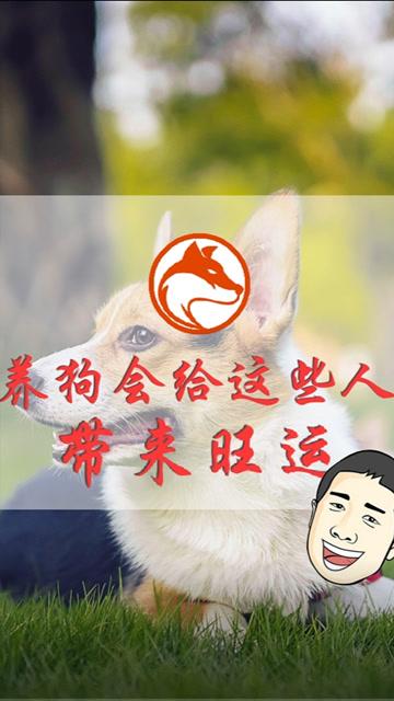 各生肖关于养狗的一些问题