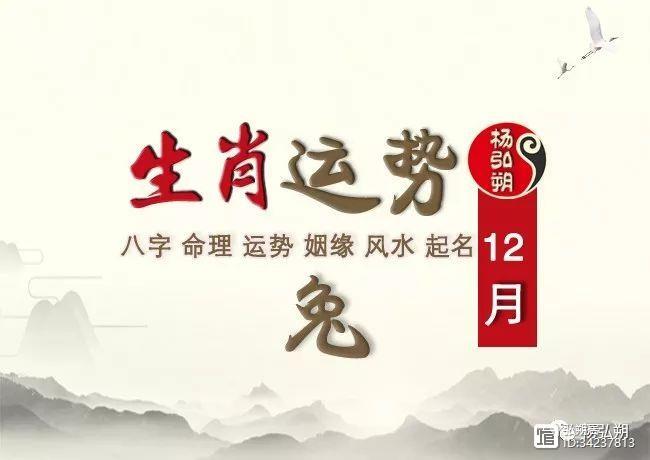 属兔的人生运势2018完整解读