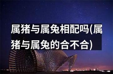 属猪和属兔的合得来吗