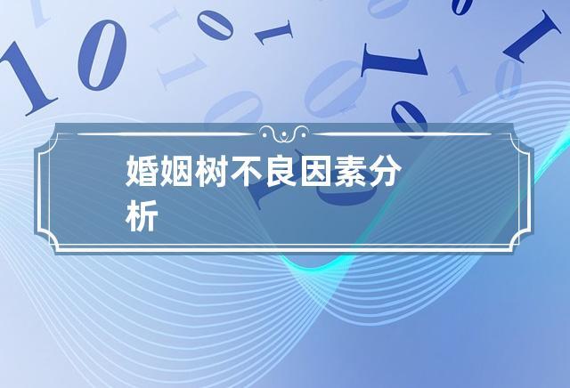 婚姻树不良因素分析