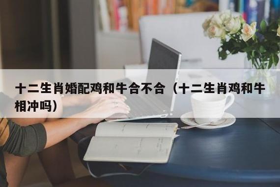 八字婚姻:属牛和属鸡的相配吗