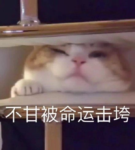 意志坚定的三个星座,不屈服于命运,不甘于现状