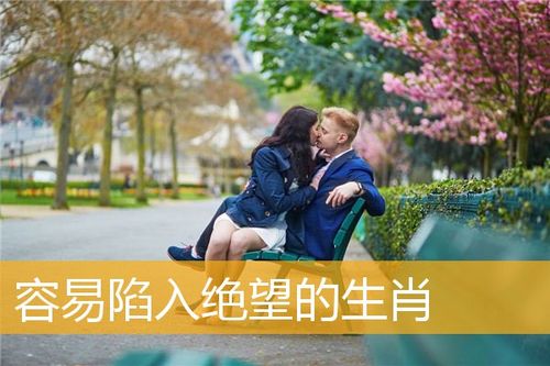 什么生肖最容易陷入绝望难自拔呢