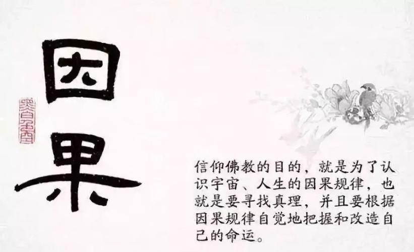 命运源于因果,你的命运一半在你自己手里另一半在因果里