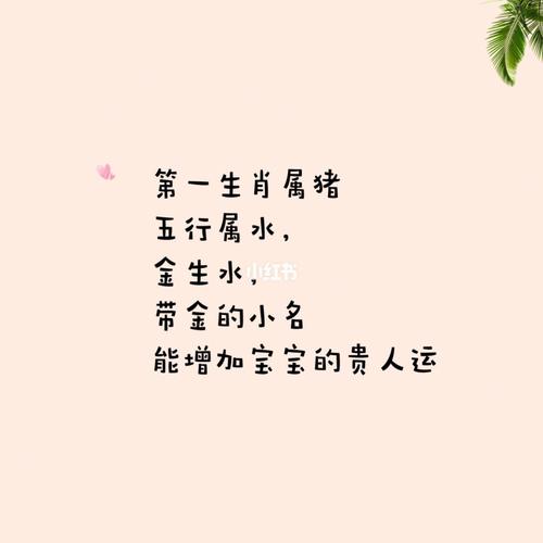 2019年9月5日出生的猪宝宝八字如何,有什么宜忌?