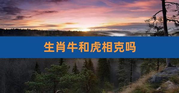 牛和虎的八字配吗,牛和虎配是好婚姻吗