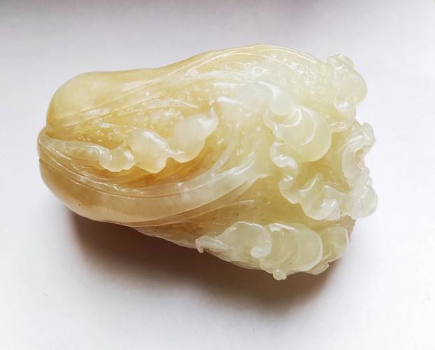 梦见玉白菜