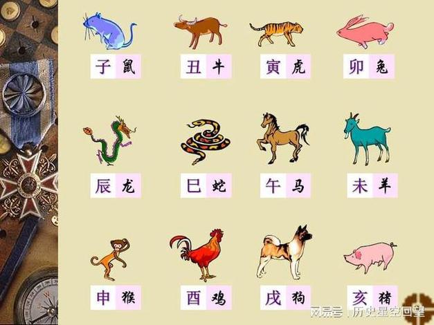 不会为了爱情等待多年的生肖大全