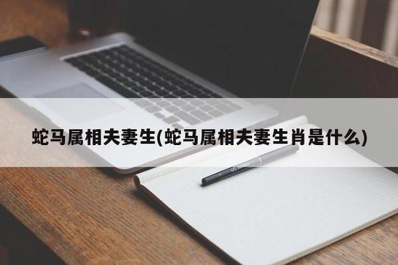 属马的和属蛇的婚姻会怎么样