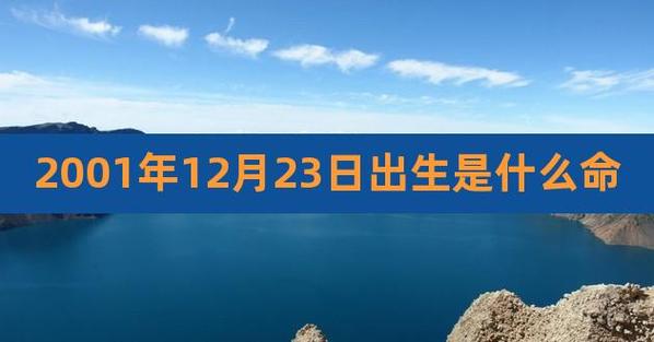 2001年12月出生的人会是什么命?优点都有哪些?