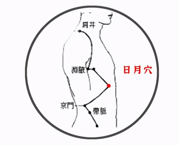 日月建的作用