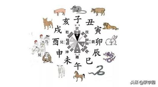 六害生肖是什么生肖
