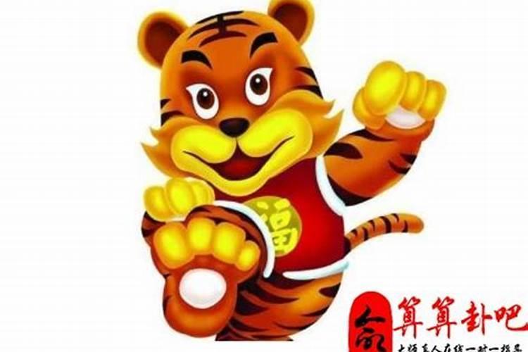 属虎人永久吉利的颜色