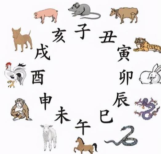 酉时属什么生肖,酉时属什么生肖