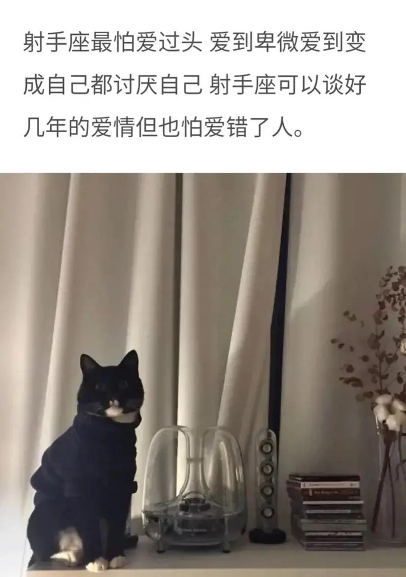 射手座女微信聊天主动,射手座的人会主动和别人聊天吗
