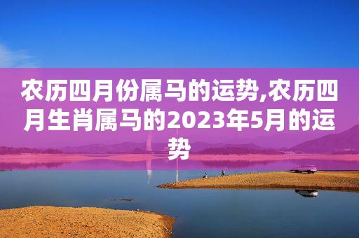 属马哪年运势好?属马人运气最好的年份