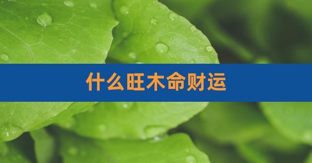 木命人适合什么行业最旺财