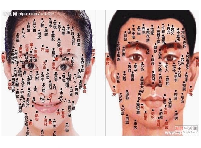 面相算命入门:五行与相貌