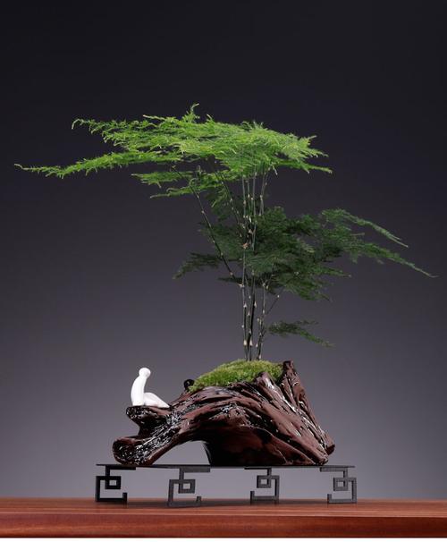 书房风水摆件 摆放绿植可以缓解疲劳