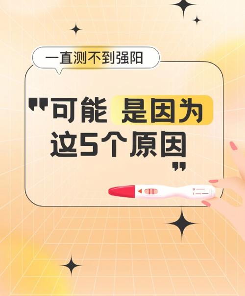 测你是不是扛把子这块料