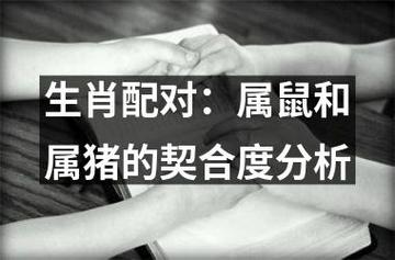生肖猪和生肖鼠的配对分析