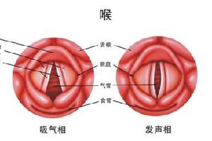 梦见咽喉 喉咙 嗓子