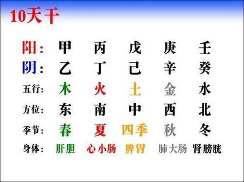 日柱论命 戊寅日生于午时 午时出生适得天时地利