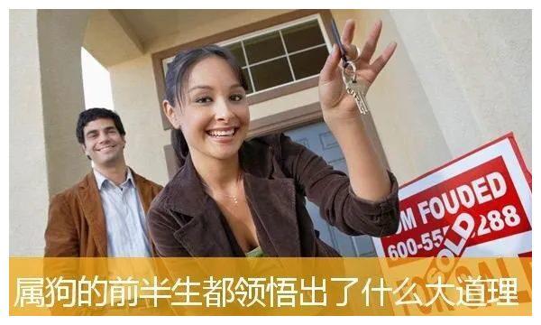 属狗的前半生都领悟出了什么大道理
