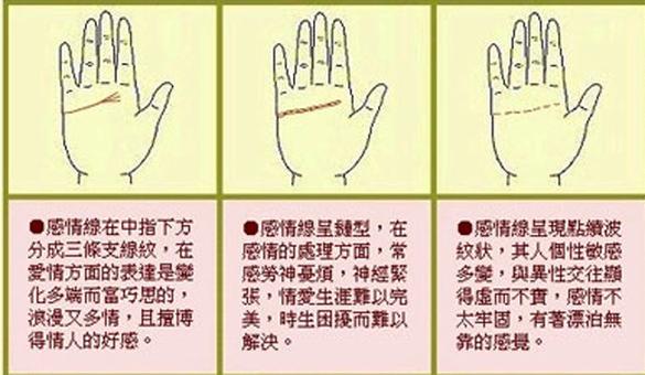 手相解析:金星丘情欲线介绍