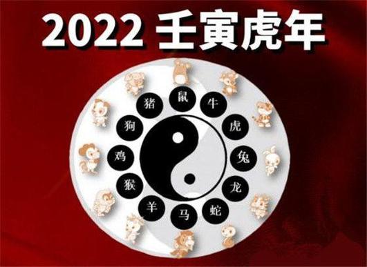 2022年虎年五行属什么