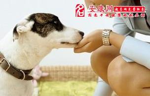 梦见狗吃人 梦见狗吃人奶是什么预兆